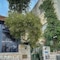 Jerusalem Hotel - map