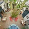 Riad Aloès Marrakech - map