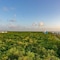 The Landmark Of Cozumel - map
