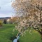 Best Western Aparthotel Birnbachhoehe - map