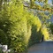 The Haven And Spa - Health And Wellness Accommodation - Adults Only - map
