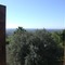 Eurialo Green Suites - map