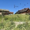 Scandic Stiklestad - map