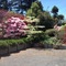 Kauri Point Luxury Bed & Breakfast - map