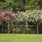Doolan's Country Retreat - Adults Only - map
