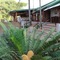 Chestnut Country Lodge - map