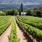 Glen Avon Lodge Boutique Hotel - map