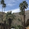 Desert Lodge - map