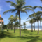 Pearl Paradise Villa Danang - map