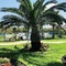 Days Inn By Wyndham Port Aransas Tx - map