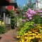 Prince Albert Provincetown - map