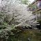 Nikko Hoshinoyado - map