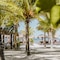 Zomay Beachfront Hotel Holbox - map