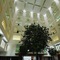 Orange Megastructure Llp - map