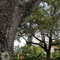 Parkway Inn Airport Motel Miami - map