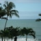 Turtle Cove Beach Resort - Adults Only Lgbtqia & Allies - map