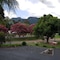 Bucketts Way Motel Gloucester - map