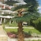 Elit Hotel Balchik - map