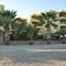 Palm Court Suites - map