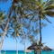 Turtle Bay Beach Club - map