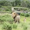 Sibuya Game Reserve - map