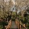 Mopane Bush Lodge - map