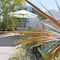 Beach Club Resort - map