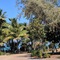 By The Sea Port Douglas - map