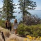 The Incline Lodge - map