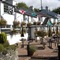 Britannia Inn - map
