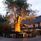 Cresta Mowana Safari Resort & Spa - map
