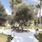 El Yam Luxury Resort - map