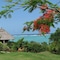 Tijara Beach - map