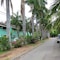 Tropical Gardens - map