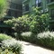 Blue Pine Hotel - map