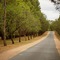 Renmark Resort - map