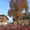 Hotel Zollner - map