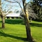 Briars Country Lodge - map
