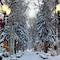 Seasons Four By Snowmass Vacations - map