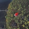 Villa Helga - map