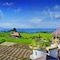 Floating Leaf Eco-Luxury Retreat - map