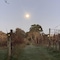 Vineyard Cottages - map