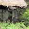 Parrot Lodge - map