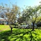 Brant Point Courtyard - map