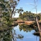 Saintys Creek Cottage - map