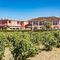 Grapevines Hotel - map