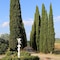 Villa Albertina - map
