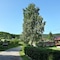 Pansion Breza - map