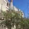 Apartments Ivanka - map