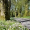 Oyo Craigadam Hotel - map